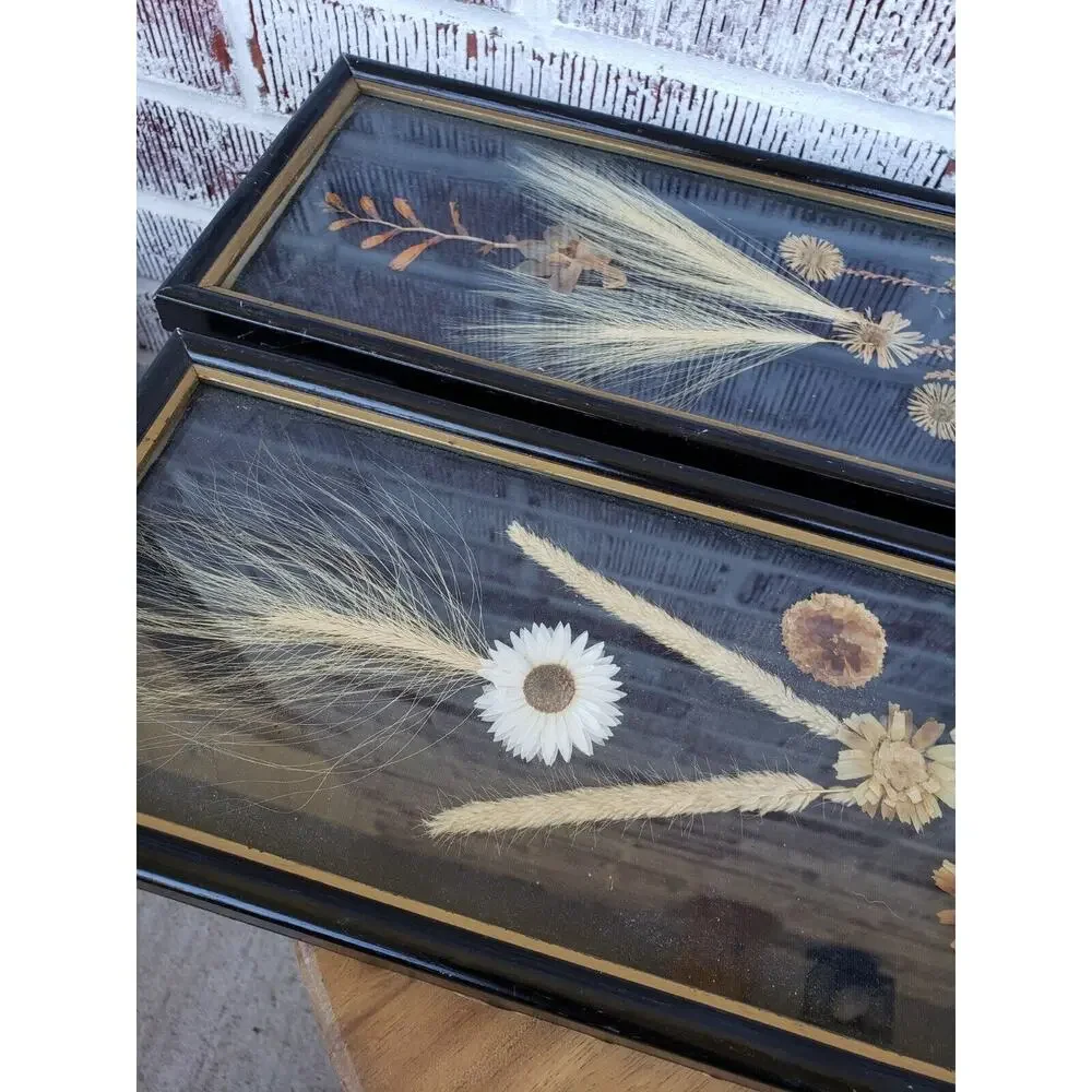 2 ANTIQUE ROCCOCO FRAMED DRIED FLOWER pressed‎ poland victorian oddity wall art